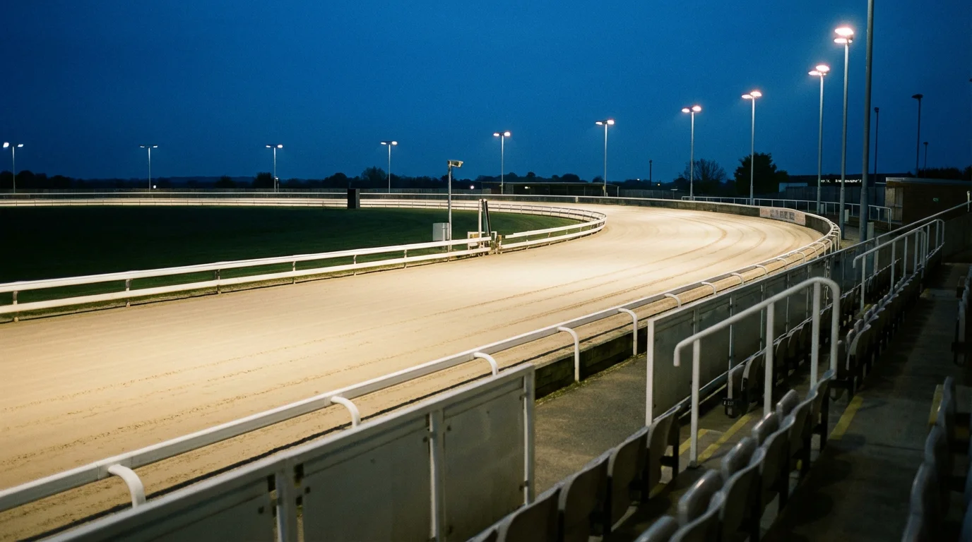 Towcester greyhound stadium sand track on race night